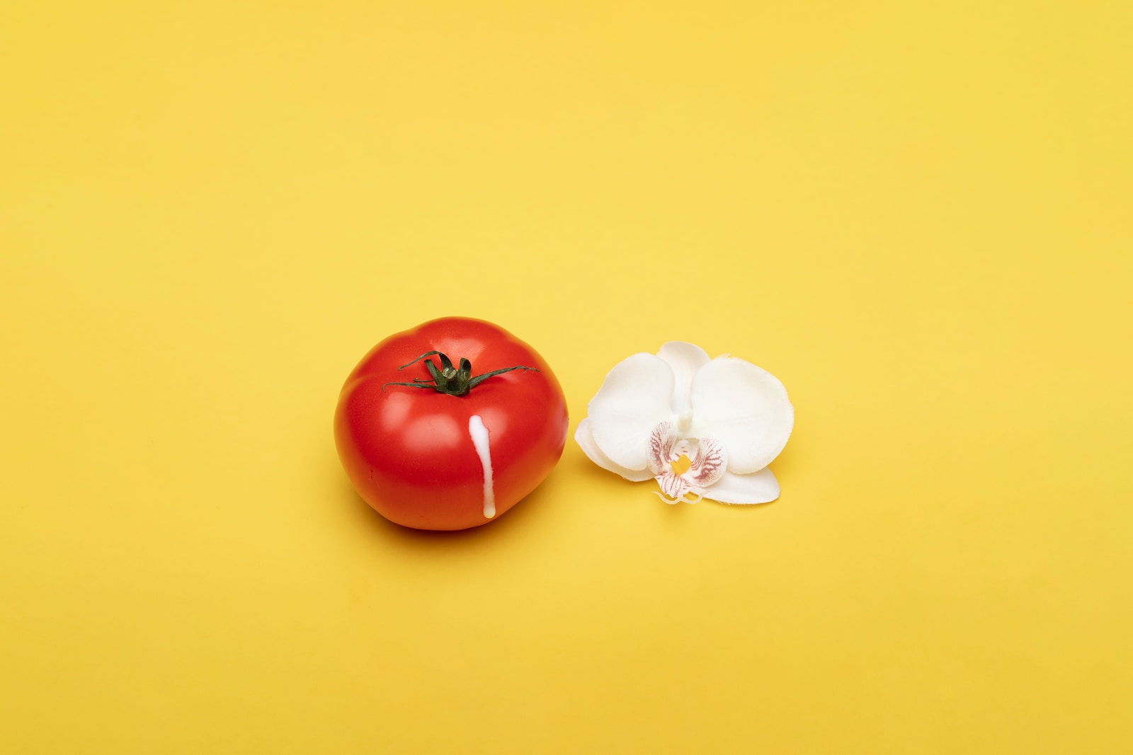 red tomato beside white flower